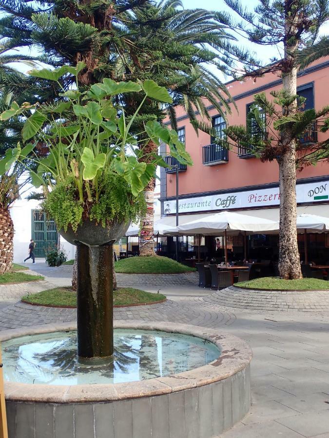 Cerca de Playa Jardín Apartamento Puerto de la Cruz  Exterior foto